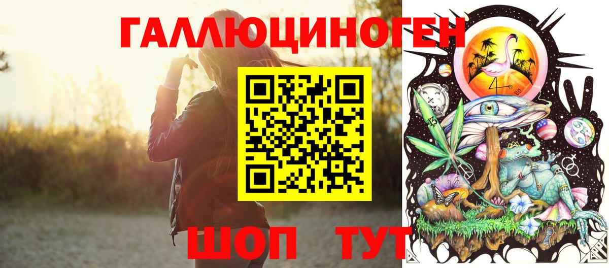 Армавир  Галлюциногенные грибы Psilocybe  Вход с VPN 
